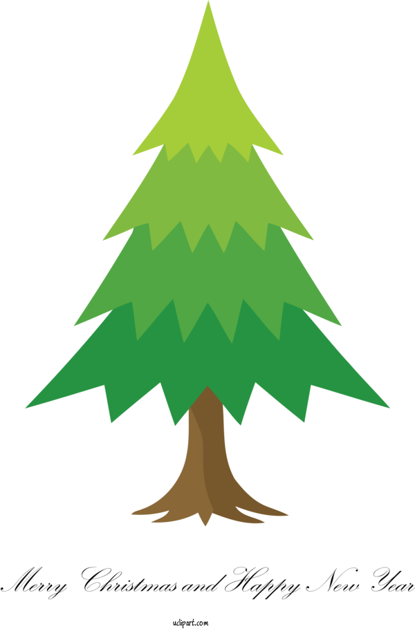 Free Holidays Colorado Spruce Oregon Pine White Pine For Christmas Clipart Transparent Background