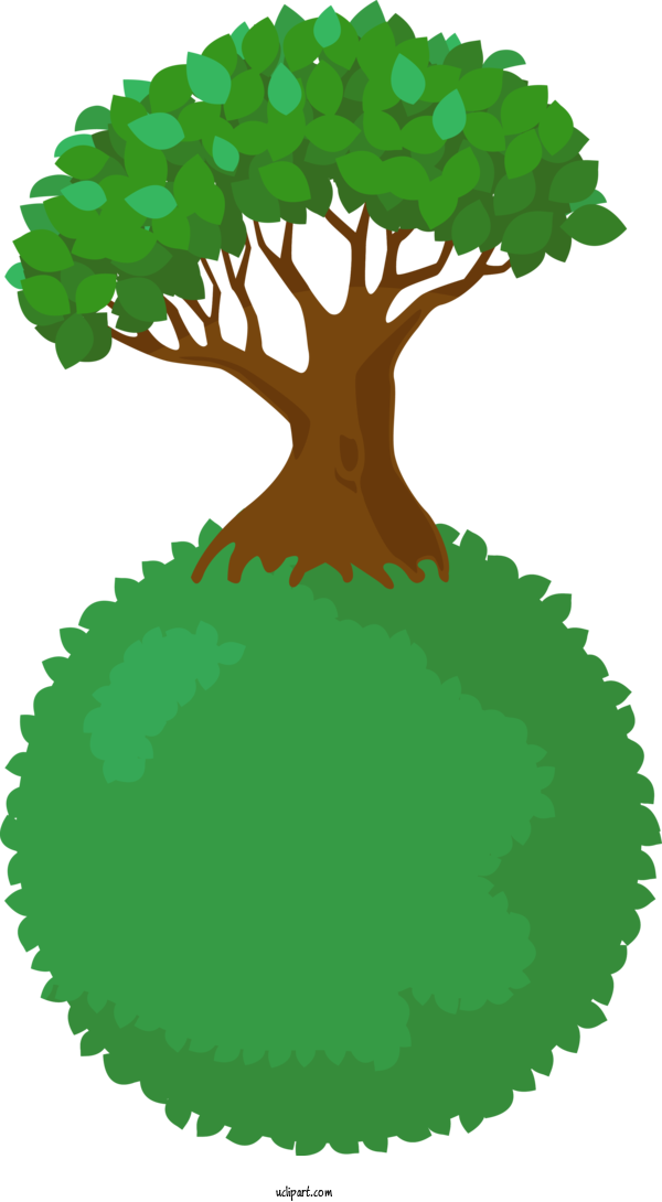 Free Nature Green Plant Tree For Tree Clipart Transparent Background