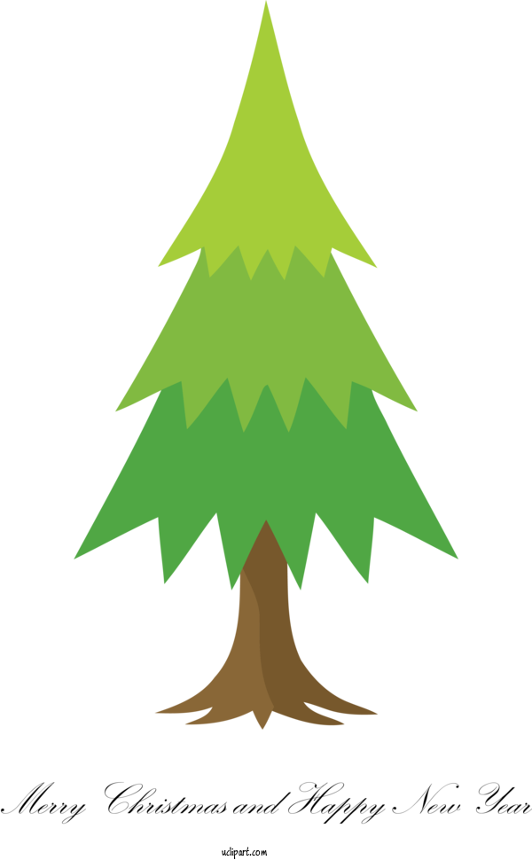 Free Holidays Oregon Pine Colorado Spruce Tree For Christmas Clipart Transparent Background