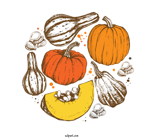 Free Holidays Pumpkin Calabaza Winter Squash For Thanksgiving Clipart Transparent Background