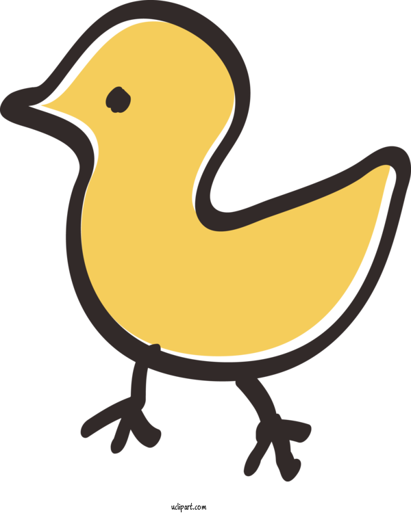 Free Animals Bird Beak Cartoon For Duck Clipart Transparent Background