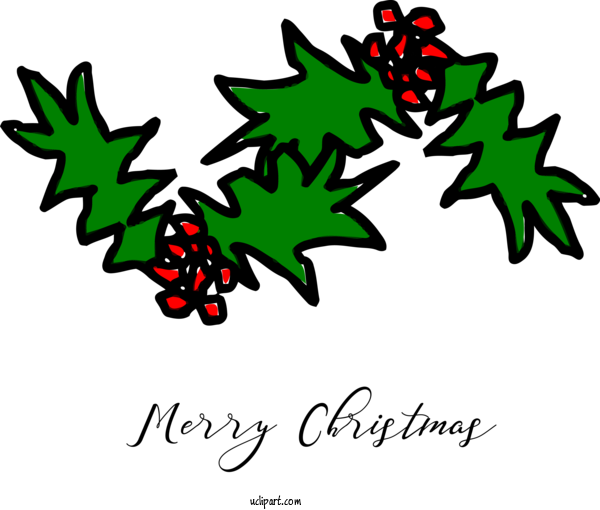 Free Holidays Holly Leaf Plant For Christmas Clipart Transparent Background