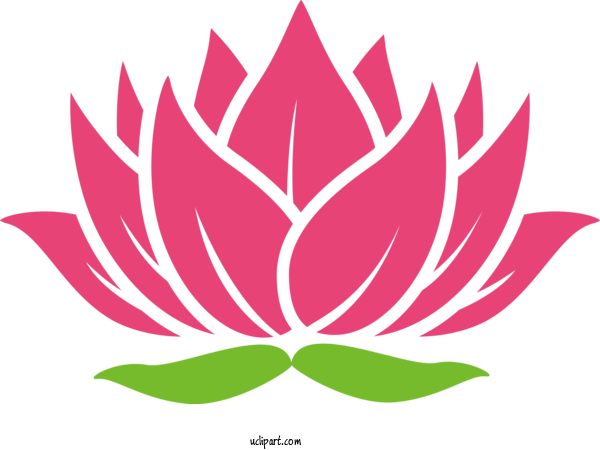 Free Flowers Lotus Family Leaf Lotus For Lotus Flower Clipart Transparent Background