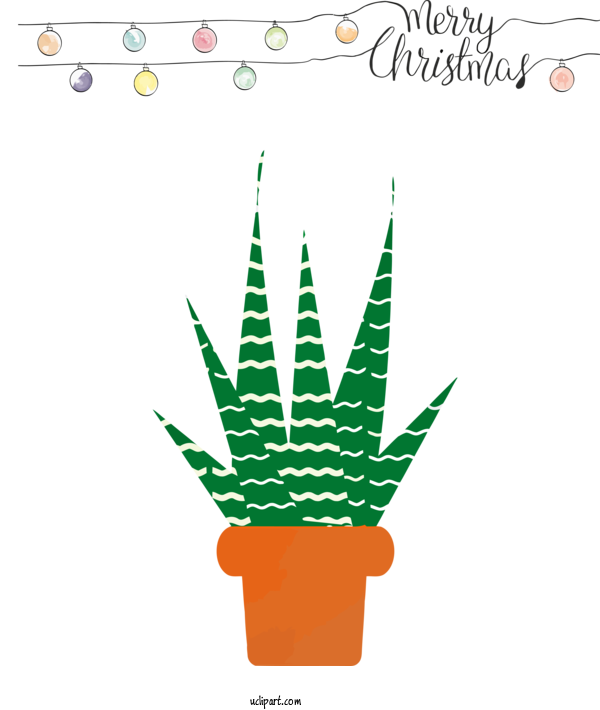 Free Holidays Flowerpot Houseplant Plant For Christmas Clipart Transparent Background
