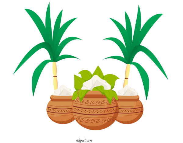 Free Holidays Flowerpot Houseplant Palm Tree For Pongal Clipart Transparent Background