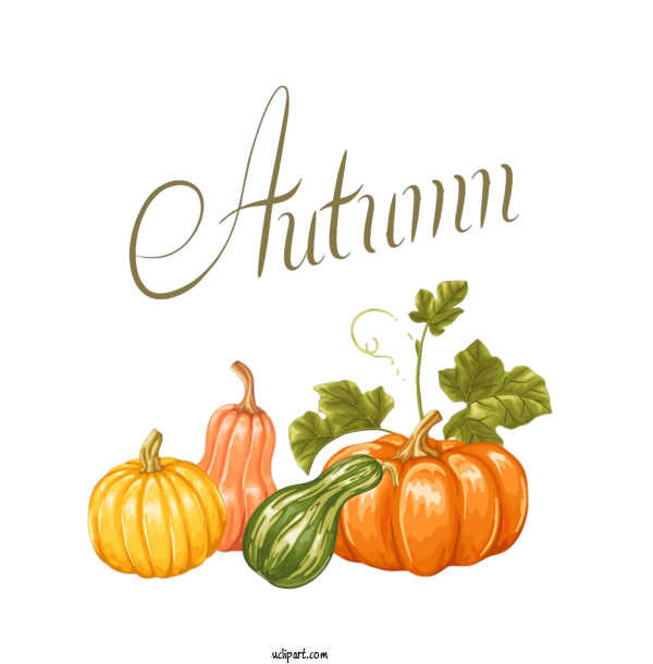 Free Holidays Natural Foods Pumpkin Vegetable For Thanksgiving Clipart Transparent Background