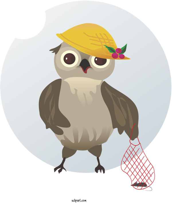 Free Animals Owl Bird Of Prey Bird For Owl Clipart Transparent Background