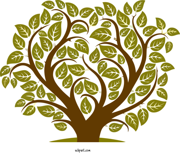 Free Nature Leaf Plant Tree For Tree Clipart Transparent Background
