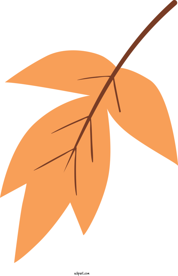 Free Nature Leaf Orange Line For Leaf Clipart Transparent Background