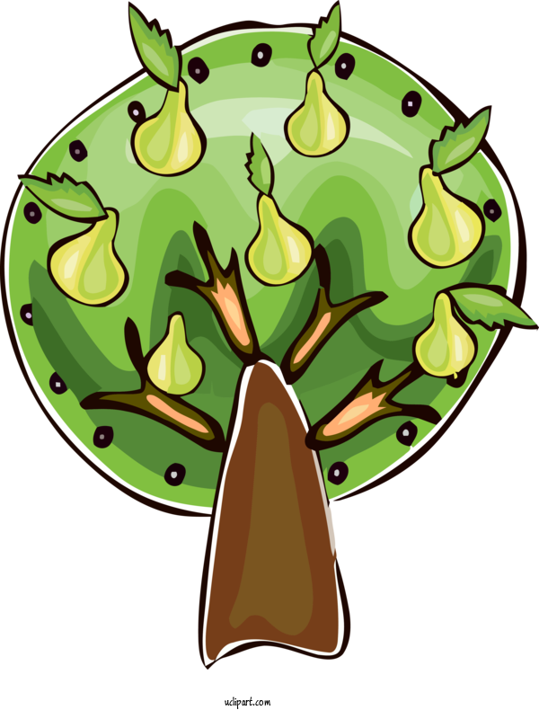 Free Nature Cartoon Leaf Tree For Tree Clipart Transparent Background