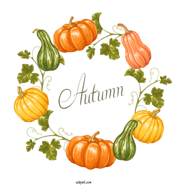 Free Holidays Natural Foods Vegetable Orange For Thanksgiving Clipart Transparent Background