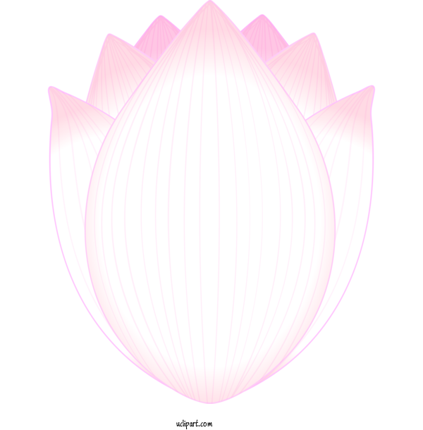 Free Flowers Pink Petal Plant For Lotus Flower Clipart Transparent Background