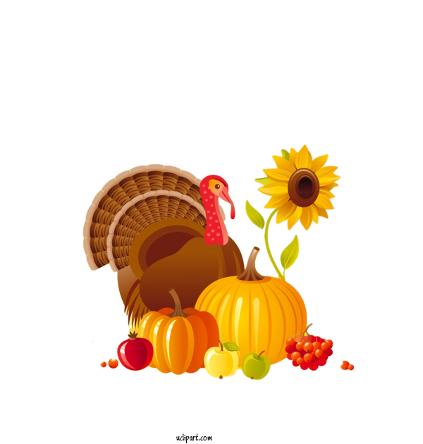 Free Holidays Yellow Plant Flower For Thanksgiving Clipart Transparent Background