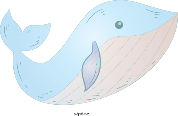 Free Animals Bottlenose Dolphin Whale Cetacea For Whale Clipart Transparent Background