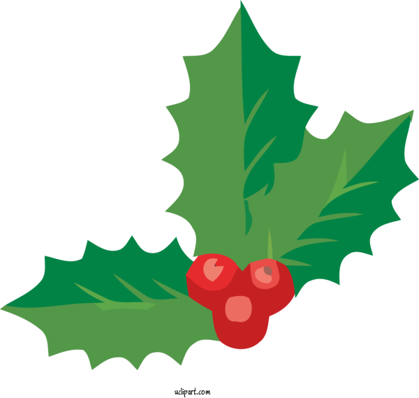 Free Holidays Holly Leaf Grape Leaves For Christmas Clipart Transparent Background