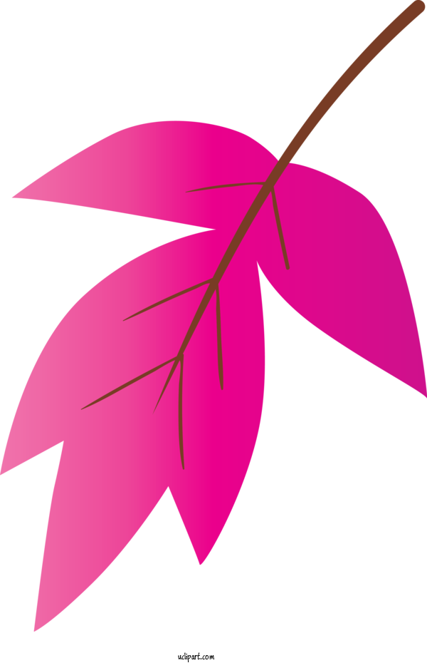 Free Nature Leaf Pink Plant For Leaf Clipart Transparent Background