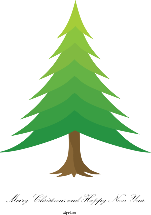 Free Holidays White Pine Colorado Spruce Tree For Christmas Clipart Transparent Background