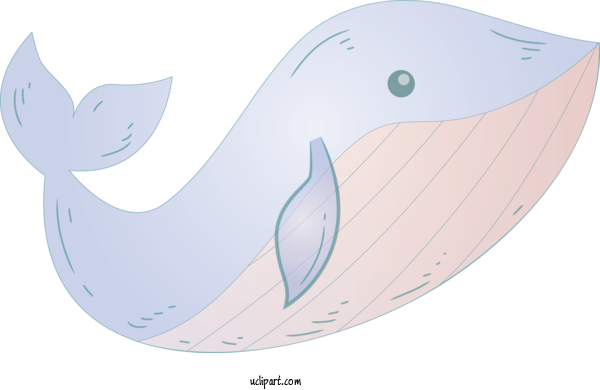 Free Animals Whale Blue Whale Mouth For Whale Clipart Transparent Background