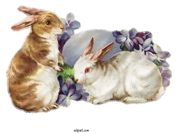 Free Holidays Rabbit Rabbits And Hares Easter Bunny For Easter Clipart Transparent Background