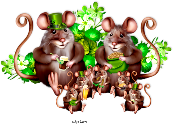 Free Holidays Rat Mouse Muridae For Saint Patricks Day Clipart Transparent Background