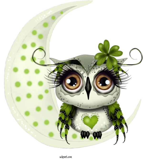Free Holidays Owl Green Bird Of Prey For Saint Patricks Day Clipart Transparent Background