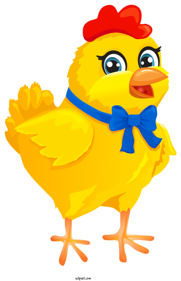 Free Holidays Chicken Cartoon Yellow For Easter Clipart Transparent Background