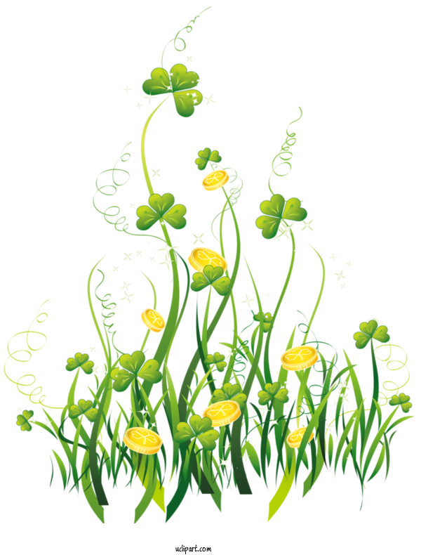 Free Holidays Flower Plant Yellow For Saint Patricks Day Clipart Transparent Background