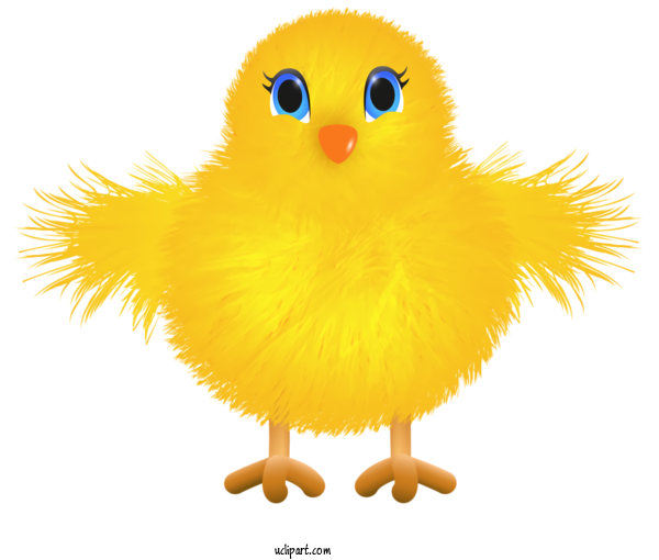 Free Holidays Yellow Beak Bird For Easter Clipart Transparent Background
