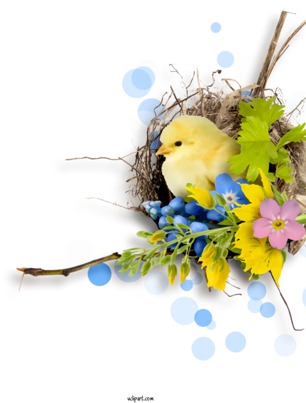 Free Holidays Yellow Bird Nest Flower For Easter Clipart Transparent Background