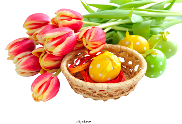 Free Holidays Food Tulip Plant For Easter Clipart Transparent Background