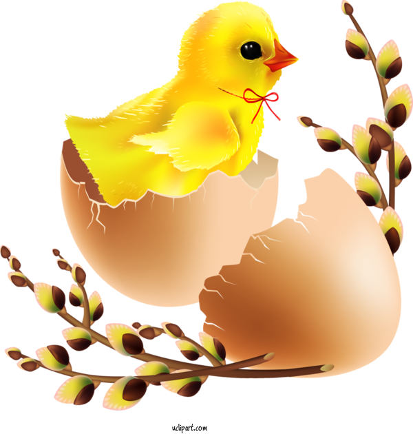 Free Holidays Bird Rubber Ducky Chicken For Easter Clipart Transparent Background