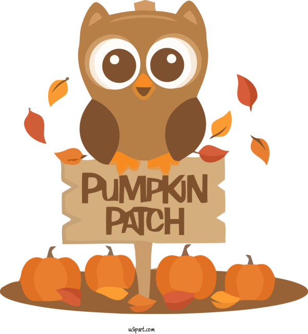 Free Holidays Owl Orange Cartoon For Thanksgiving Clipart Transparent Background