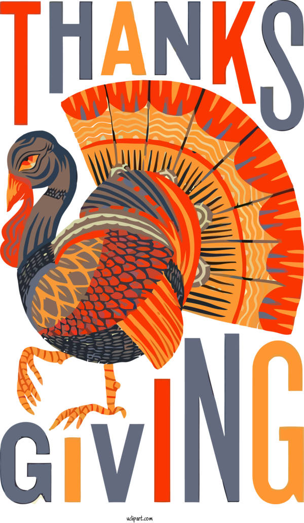 Free Holidays Bird Turkey Line For Thanksgiving Clipart Transparent Background