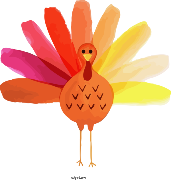 Free Holidays Orange Cartoon Bird For Thanksgiving Clipart Transparent Background