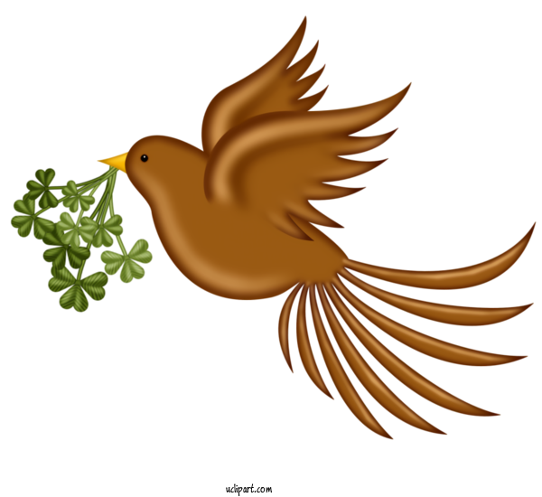 Free Holidays Bird Beak Robin For Saint Patricks Day Clipart Transparent Background
