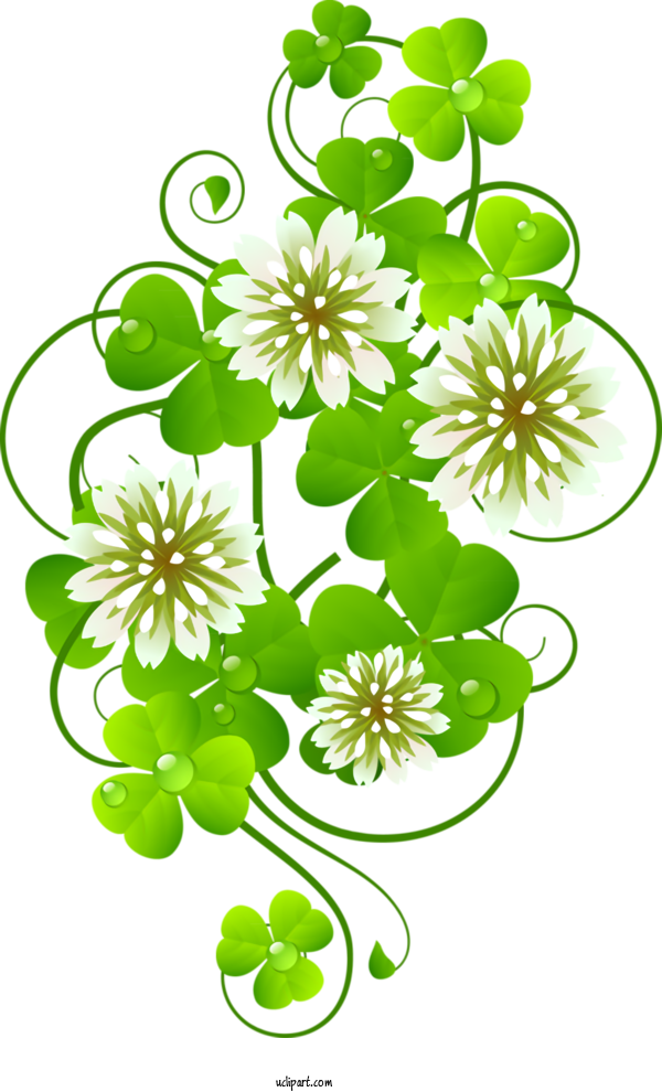 Free Holidays Flower Plant Leaf For Saint Patricks Day Clipart Transparent Background