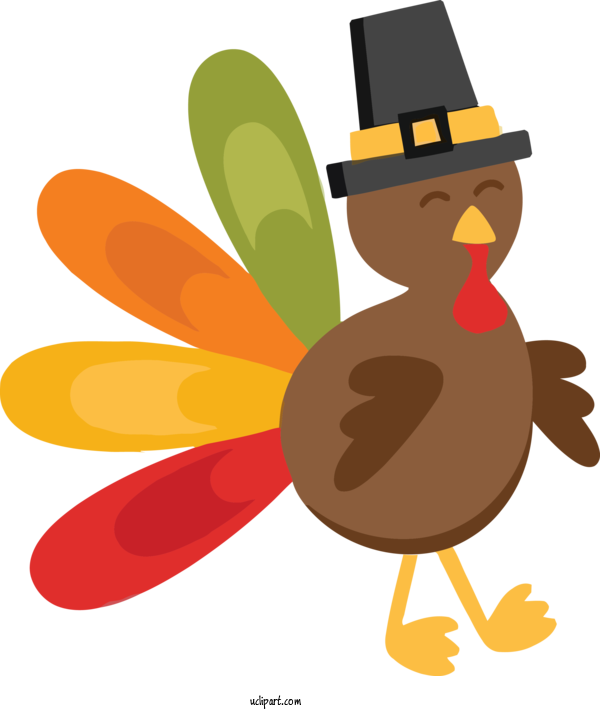 Free Holidays Cartoon Bird Duck For Thanksgiving Clipart Transparent Background