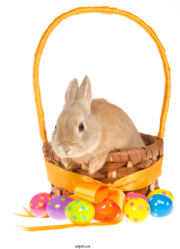 Free Holidays Animal Figure Rabbit Rabbits And Hares For Easter Clipart Transparent Background