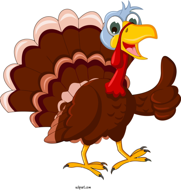 Free Holidays Bird Turkey Cartoon For Thanksgiving Clipart Transparent Background