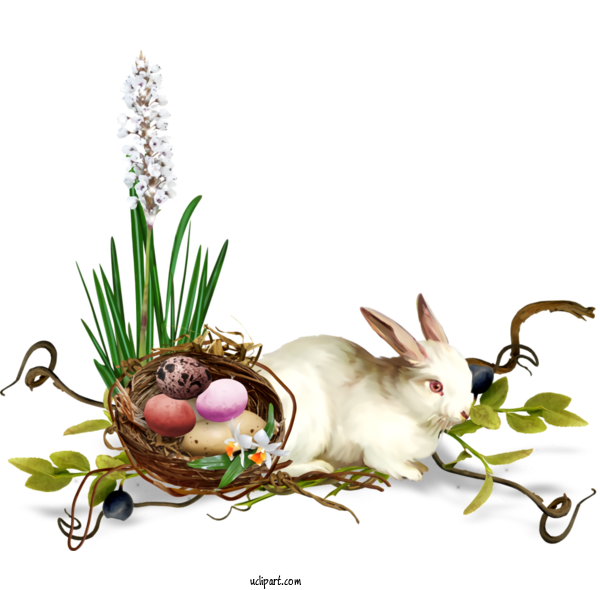 Free Holidays Rabbit Grass Rabbits And Hares For Easter Clipart Transparent Background