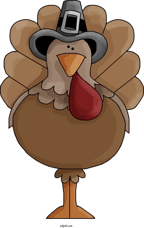 Free Holidays Cartoon Bird For Thanksgiving Clipart Transparent Background