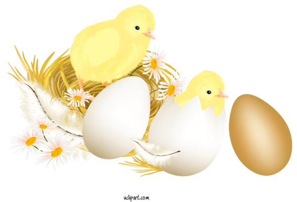 Free Holidays Egg Bird Egg For Easter Clipart Transparent Background