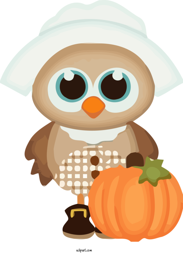Free Holidays Owl Cartoon Pumpkin For Thanksgiving Clipart Transparent Background