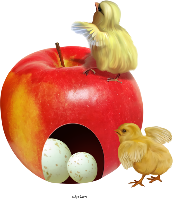 Free Holidays Chicken Apple Bird For Easter Clipart Transparent Background