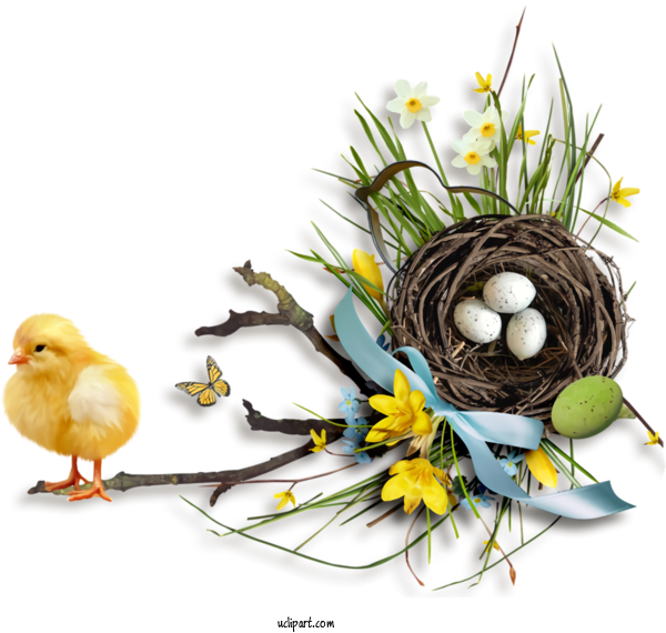 Free Holidays Bird Nest Nest Bird For Easter Clipart Transparent Background