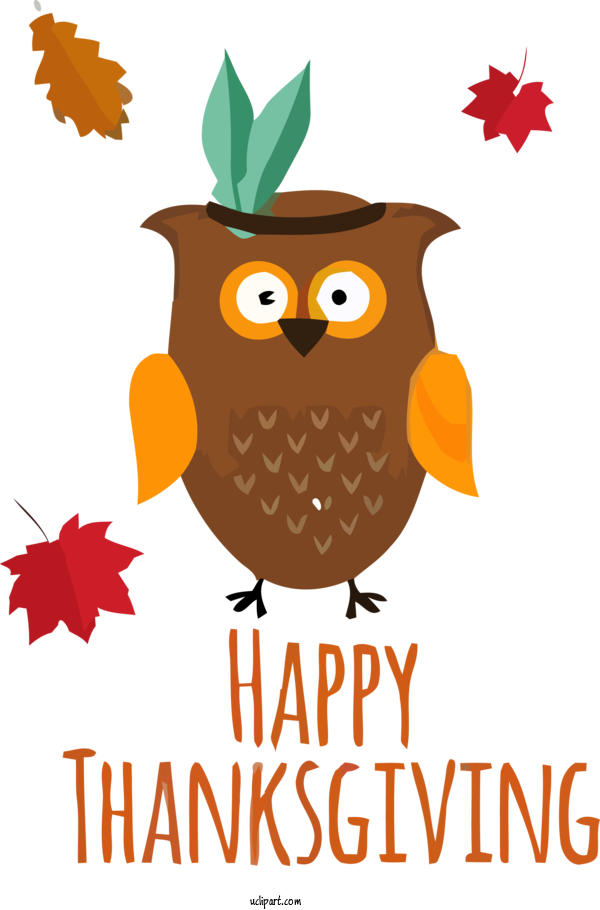 Free Holidays Owl Eastern Screech Owl Cartoon For Thanksgiving Clipart Transparent Background