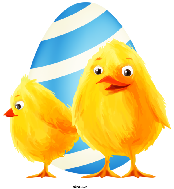 Free Holidays Yellow Chicken Bird For Easter Clipart Transparent Background