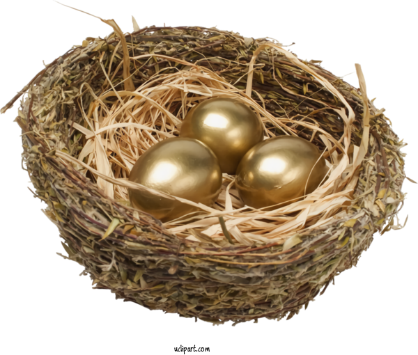Free Holidays Bird Nest Nest Egg For Easter Clipart Transparent Background