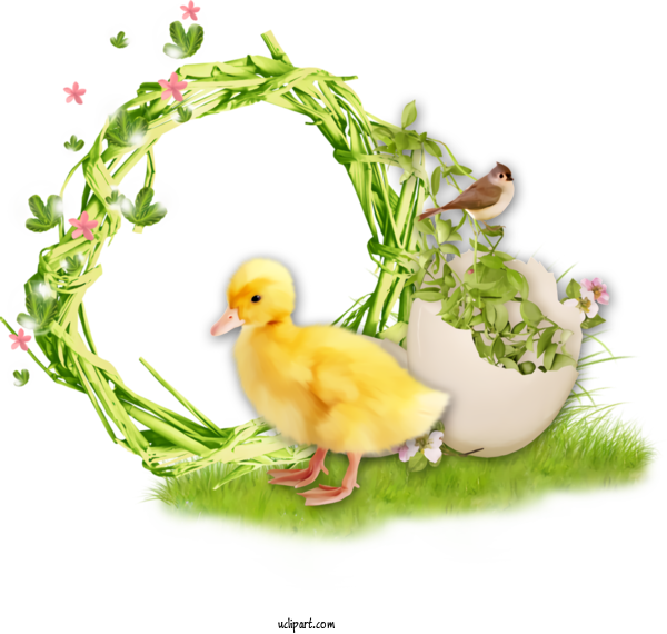 Free Holidays Bird Water Bird Duck For Easter Clipart Transparent Background