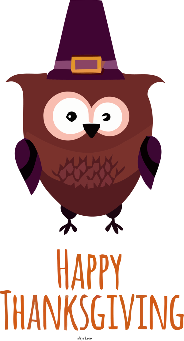 Free Holidays Owl Cartoon Bird For Thanksgiving Clipart Transparent Background